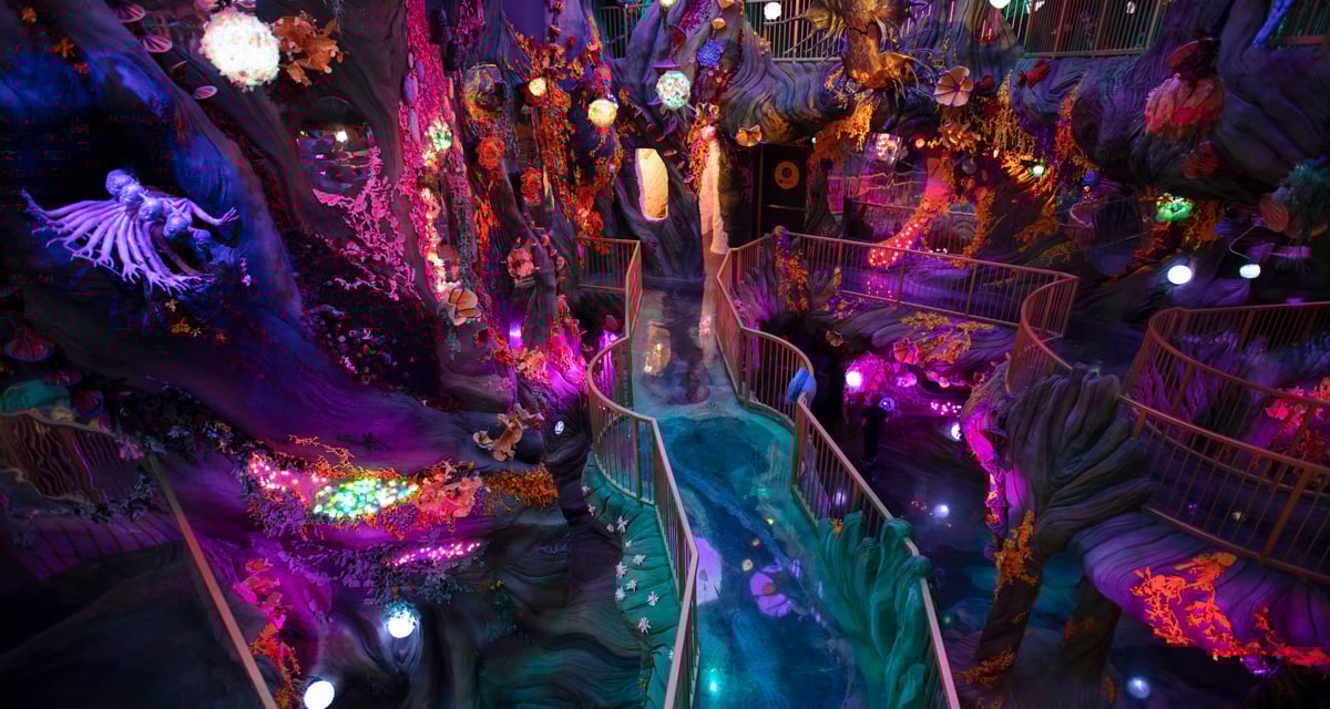 Creative Team | Numina at Convergence Station