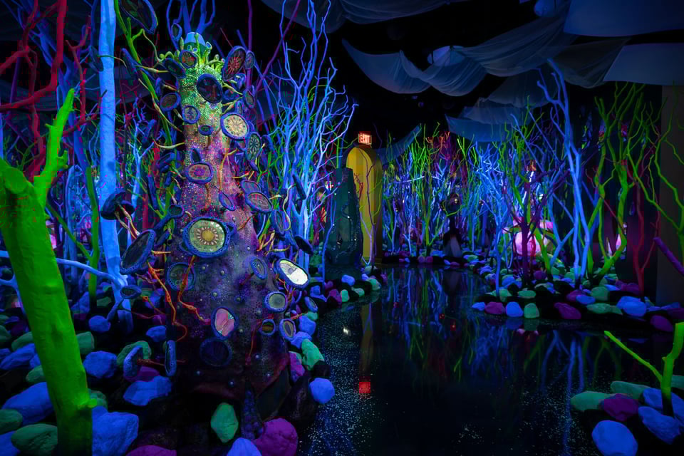 Glowquarium Trench 1