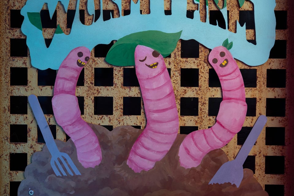 Ant Farm 1