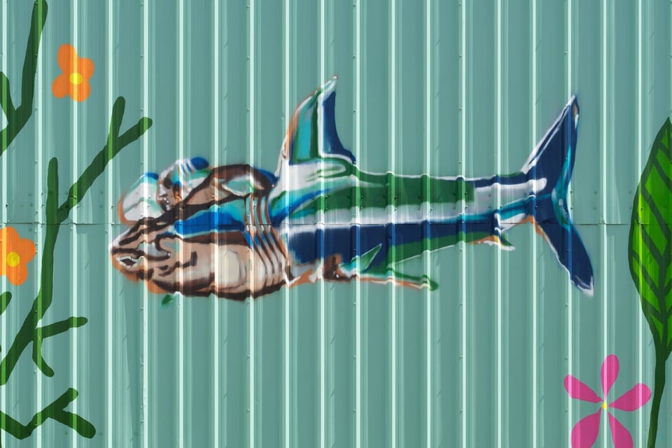 Radio/Shark/Wheel or Rim 1