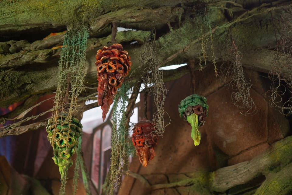 Flora and Fauna 2