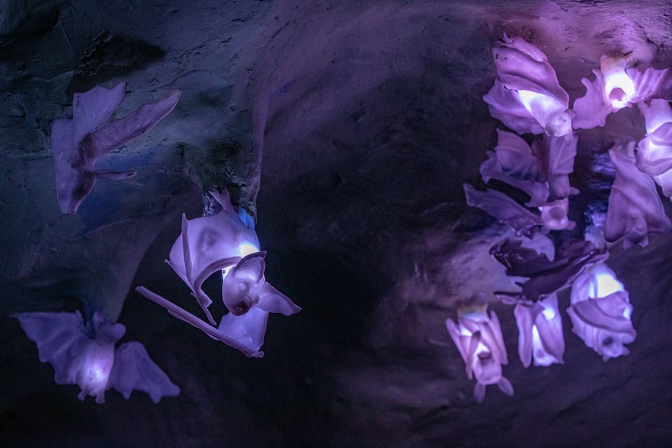 Bat Cave 1