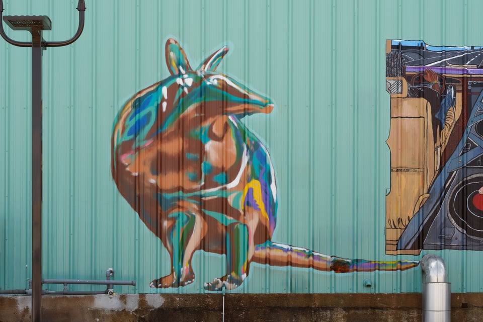 Armadillo 0