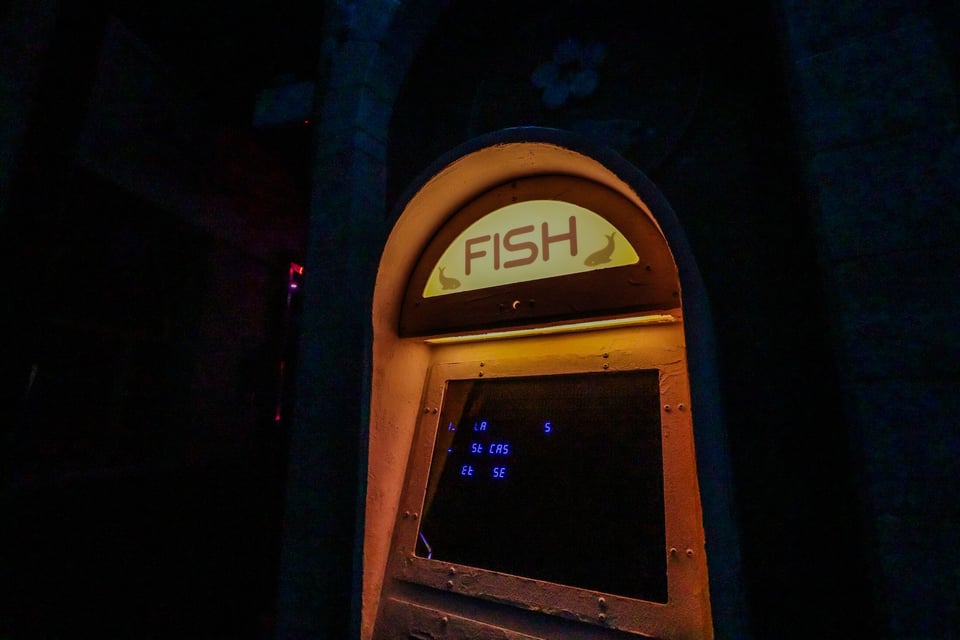 FISH 0
